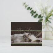 ハグとキスはがき ポストカード (スタンド正面)