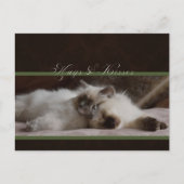 ハグとキスはがき ポストカード (正面)