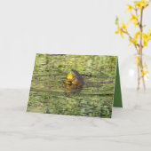 ハグの送信 カード (黄色い花)