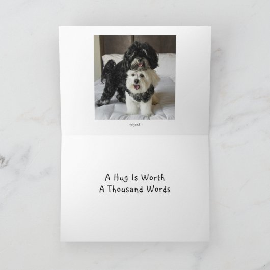 ハグカード カード (内部)