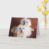 ハグカード カード (黄色い花)