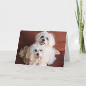 ハグカード カード (正面)