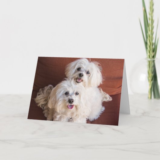 ハグカード カード (正面)