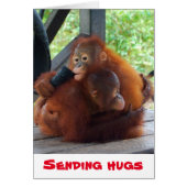 ハグバレンタインの送信 (正面)