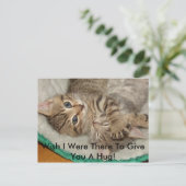 ハグ与え子猫はがき ポストカード (スタンド正面)