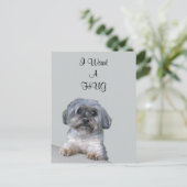 ハグ犬はがき ポストカード (スタンド正面)