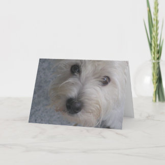 ハグ – カード