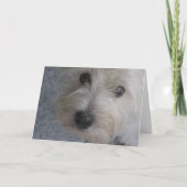 ハグ – カード (正面)