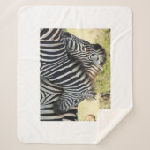 ハグ シェルパブランケット (正面)