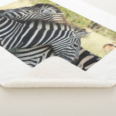 ハグ シェルパブランケット (3/4)