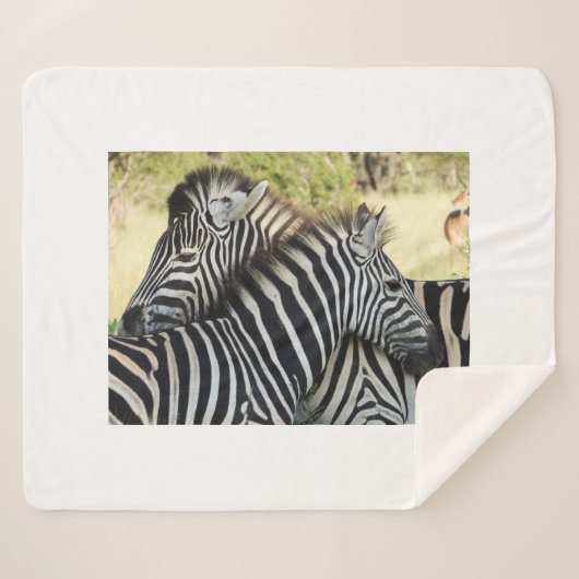 ハグ シェルパブランケット (正面(横))