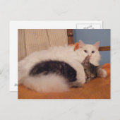 ハグZポストカード ポストカード (正面/裏面)