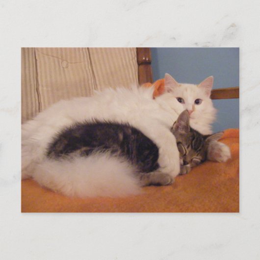 ハグZポストカード ポストカード (正面)