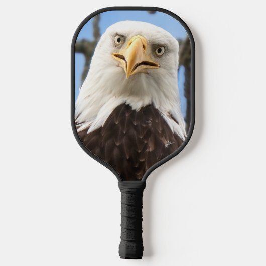 ハゲおもしろいワシ顔野生生物写真 ピックルボールラケット (裏面)