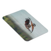 ハゲとガチョウの野生動物の写真 マグネット (右側)