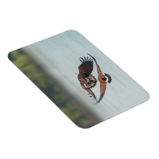 ハゲとガチョウの野生動物の写真 マグネット (右側)