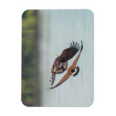 ハゲとガチョウの野生動物の写真 マグネット (縦)