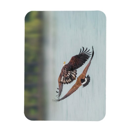 ハゲとガチョウの野生動物の写真 マグネット (縦)