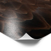 ハゲのイーグルがクローズアップ フォトプリント            (角)