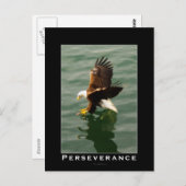 ハゲのイーグルやる気を起こさせるはがき ポストカード (正面/裏面)