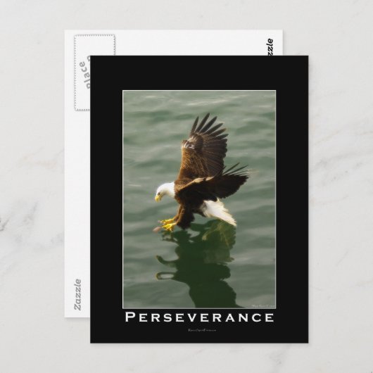 ハゲのイーグルやる気を起こさせるはがき ポストカード (正面/裏面)