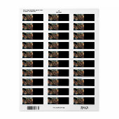 ハゲのイーグルアメリカ国旗の田舎道 ラベル (フルシート)