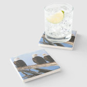 ハゲのイーグルストーンコースター ストーンコースター (横)