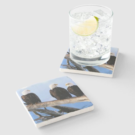 ハゲのイーグルストーンコースター ストーンコースター (横)