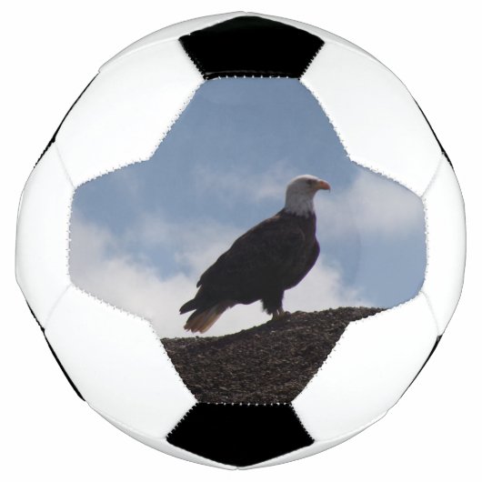 ハゲのサッカーボール サッカーボール (正面)