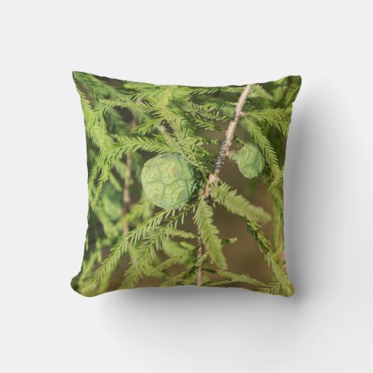 ハゲのヒノキの種円錐 クッション (正面)