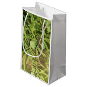 ハゲのヒノキの種円錐 スモールペーパーバッグ (裏面アングル)