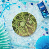 ハゲのヒノキの種円錐 ペーパープレート (パーティー)