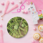 ハゲのヒノキの種円錐 ペーパープレート (パーティー)