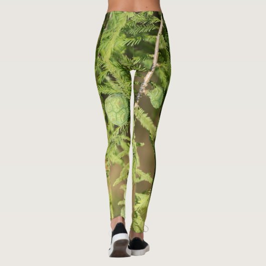 ハゲのヒノキの種円錐 レギンス (裏面)