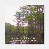 ハゲのヒノキ湿地、大きな茂み国家保存 マグネット (正面)