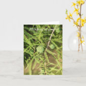 ハゲのヒノキ考えるの種のコーン カード (黄色い花)