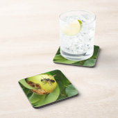 ハゲのホー食べネットの梨 コースター (右側)