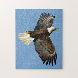 ハゲのワシが水に向かってダイビングする ジグソーパズル