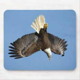 ハゲのワシが水に向かってダイビングする マウスパッド