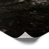 ハゲのワシが霧の中を舞い上がる ポスター (角)