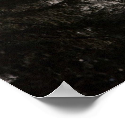 ハゲのワシが霧の中を舞い上がる ポスター (角)