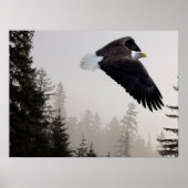 ハゲのワシが霧の中を舞い上がる ポスター (正面)