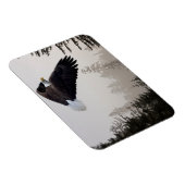 ハゲのワシが霧の中を舞い上がる マグネット (右側)