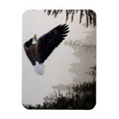 ハゲのワシが霧の中を舞い上がる マグネット (縦)