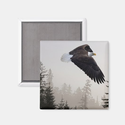 ハゲのワシが霧の中を舞い上がる マグネット (正面/裏面)