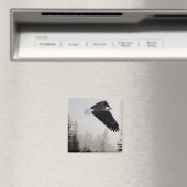 ハゲのワシが霧の中を舞い上がる マグネット (インサイチュ (食洗機))