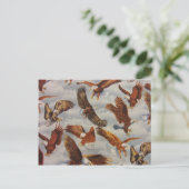 ハゲのワシが飛ぶ ポストカード (スタンド正面)