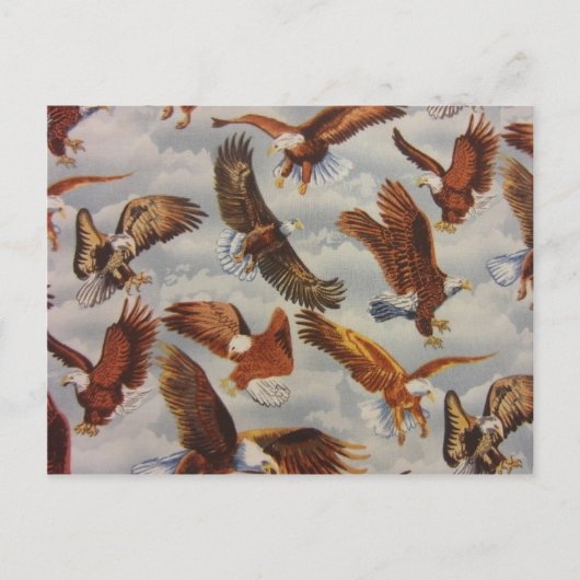 ハゲのワシが飛ぶ ポストカード (正面)