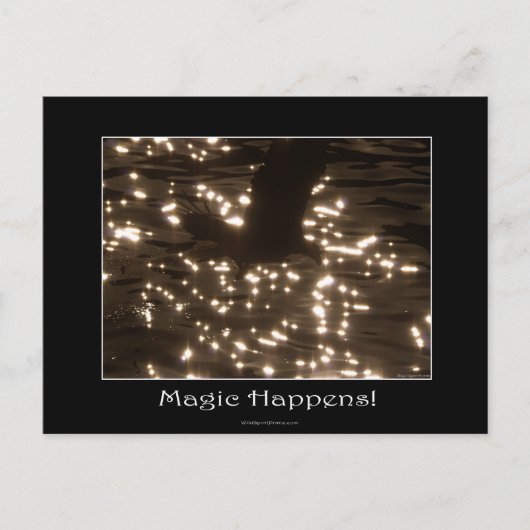 ハゲのワシとサンライトの水 ポストカード (正面)