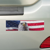 ハゲのワシと国旗 バンパーステッカー (車上)